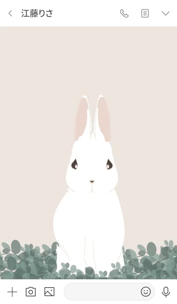 [LINE着せ替え] =Garden Rabbit=の画像3