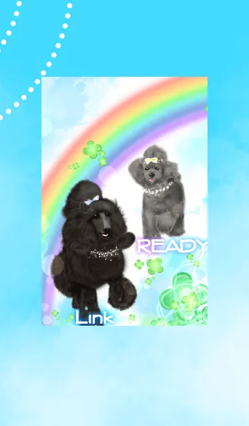 [LINE着せ替え] トイプーREADY スタプーLink-Rainbow-の画像1