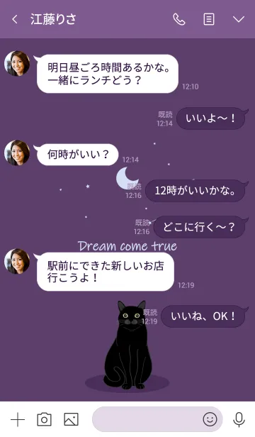 [LINE着せ替え] 月の流星（黒猫）の画像4