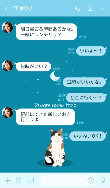 [LINE着せ替え] 月の流星（三華猫）の画像4