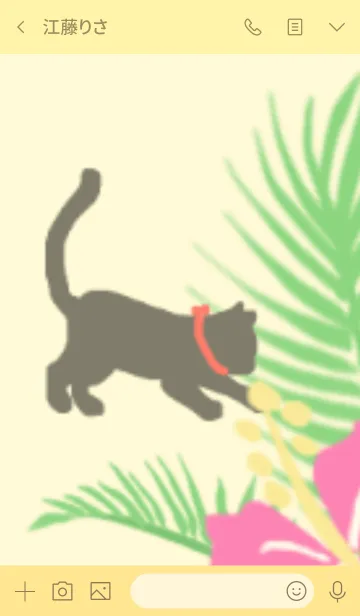 [LINE着せ替え] BLACK CAT -TROPICAL ISLAND-の画像3