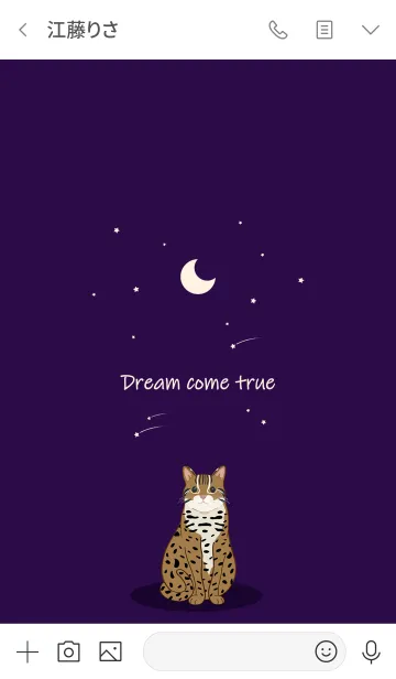 [LINE着せ替え] 月の流星（Shihu）の画像3