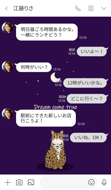 [LINE着せ替え] 月の流星（Shihu）の画像4