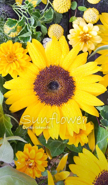 [LINE着せ替え] Sunflower～ひまわり夏の花～の画像1