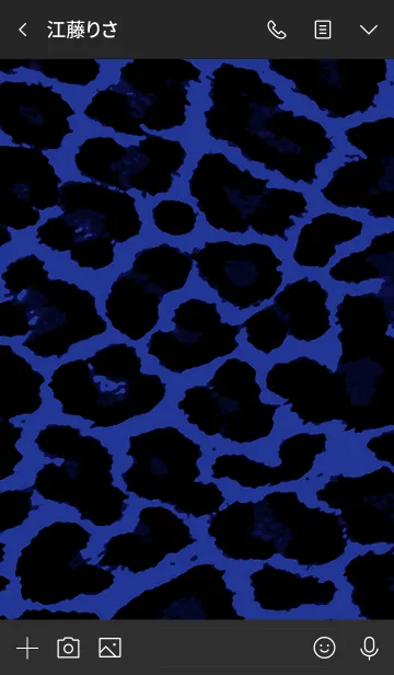 [LINE着せ替え] ザ・レオパード 17の画像3