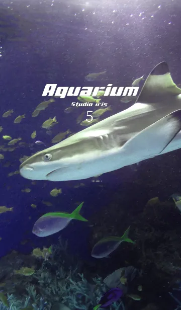 [LINE着せ替え] Aquarium5 サメの画像1