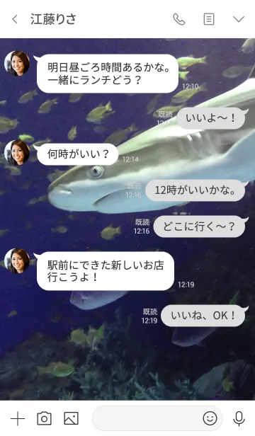[LINE着せ替え] Aquarium5 サメの画像4