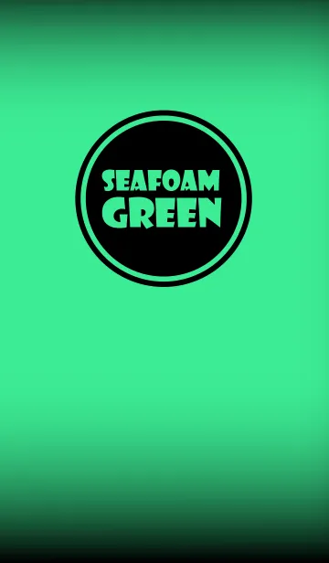 [LINE着せ替え] Seafoam Green And Black Ver.6 (jp)の画像1