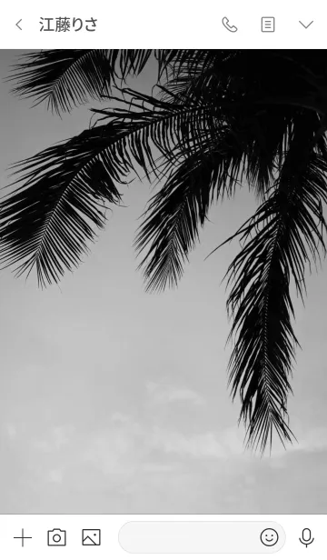 [LINE着せ替え] ALOHA -Setting sun- 17.の画像3