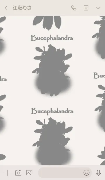 [LINE着せ替え] Bucephalandraの画像3