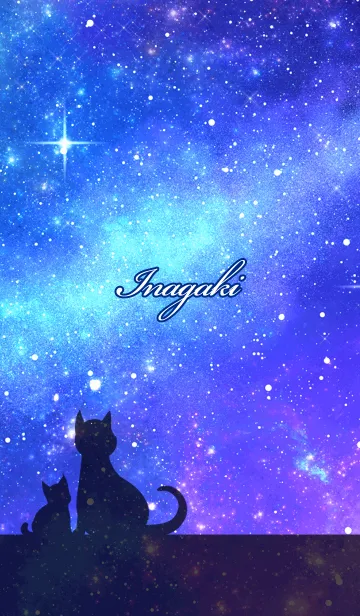 [LINE着せ替え] いながき用★星空と猫シルエットの画像1