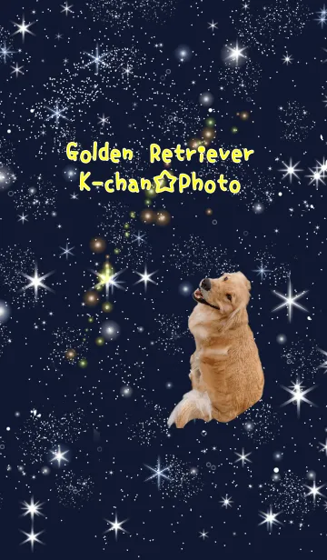 [LINE着せ替え] ゴールデンレトリバーのKちゃん☆Photo星空の画像1