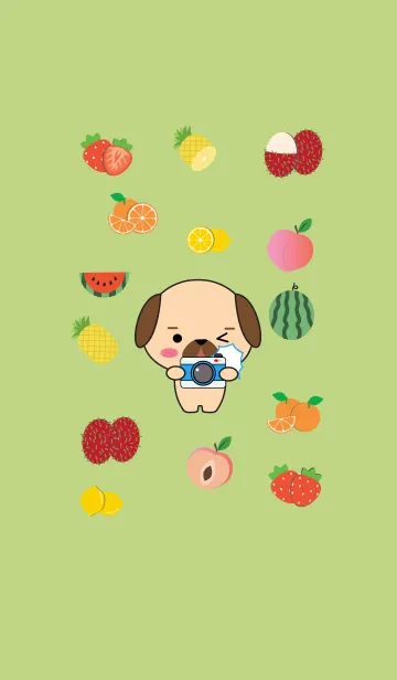 [LINE着せ替え] Cute Pug Dog And Fruit (jp)の画像1