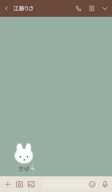 [LINE着せ替え] 韓国語着せかえ cherry rabbit/dusty greenの画像3