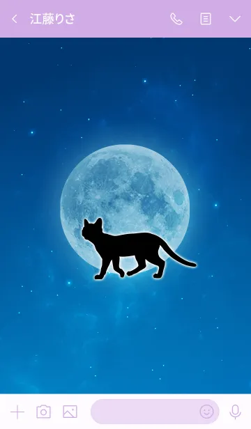 [LINE着せ替え] Cat & Moon 2の画像3
