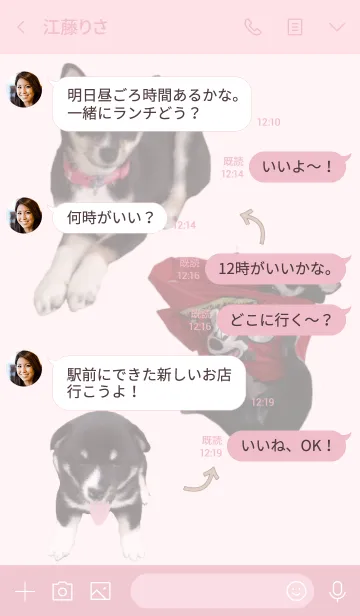 [LINE着せ替え] 黒柴犬クゥの子ども達 4-つばきの画像4