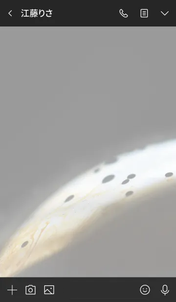 [LINE着せ替え] シャボン玉のきせかえ1の画像3