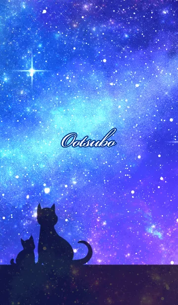 [LINE着せ替え] おおつぼ用★星空と猫シルエットの画像1