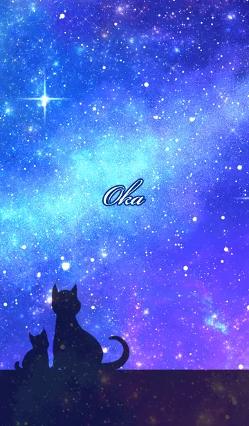[LINE着せ替え] おか用★星空と猫シルエットの画像1