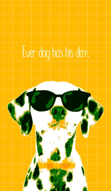 [LINE着せ替え] ダルメシアン ◆オレンジ◆の画像1