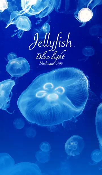 [LINE着せ替え] くらげ Blue Light Jellyfishの画像1