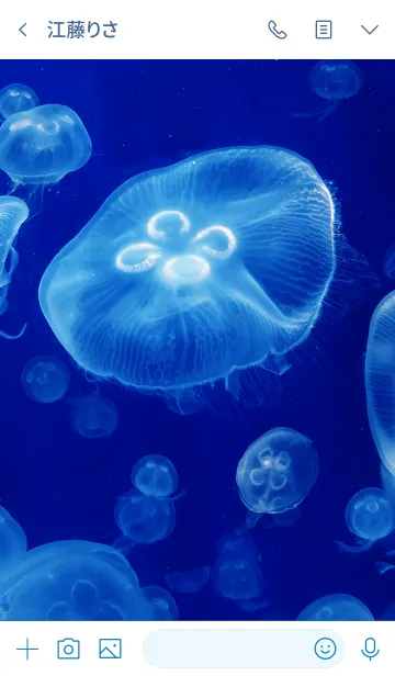 [LINE着せ替え] くらげ Blue Light Jellyfishの画像3